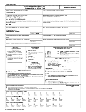 US Bankruptcy Court Voluntary Petition