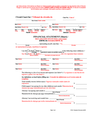 Declaración Financiera