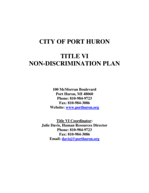 Car dealership hierarchy chart - CITY OF PORT HURON TITLE VI NON-DISCRIMINATION PLAN - porthuron