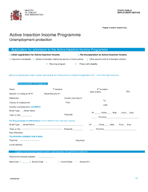Spanish Active Insertion Income Programme Application