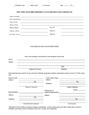 New York Youth Beef Cattle Identification Certificate