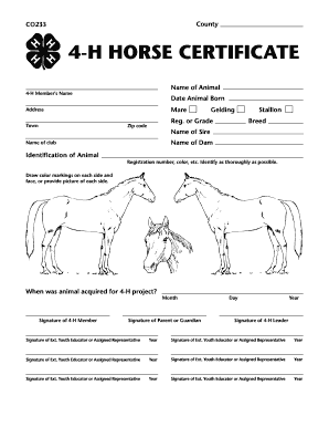 4-H Horse Certificate