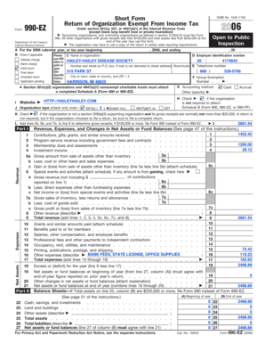 Form 990-EZ 2006