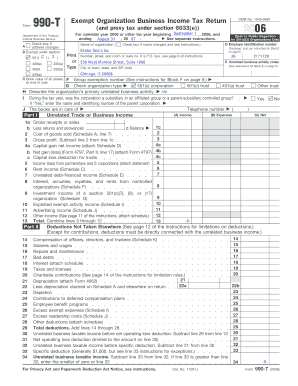 Form 990-T 2006