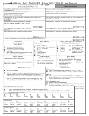 US Bankruptcy Voluntary Petition