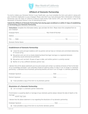 Affidavit of Domestic Partnership