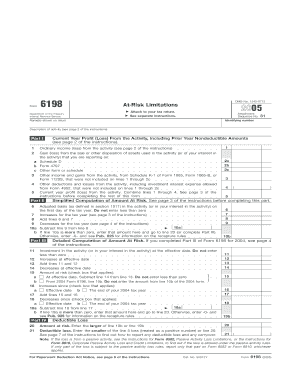 IRS Form 6198 At-Risk Limitations 2005