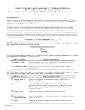 Gender, Ethnicity, Race, and Disability Self-Identification Form