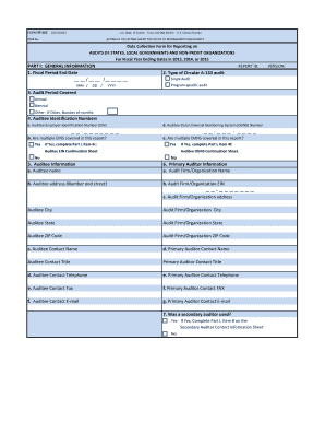 US Federal Audit Report Form SF-SAC