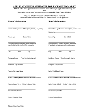 Michigan Affidavit for License to Marry