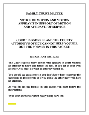 Family Court Motion Notice and Affidavit