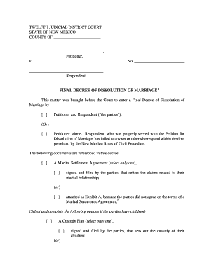 Final Decree of Dissolution of Marriage