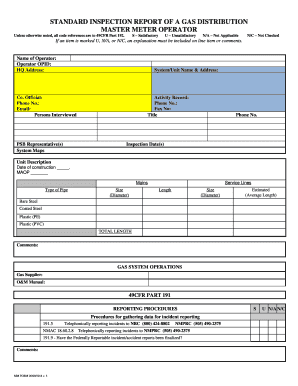 Standard Inspection Report of a Gas Distribution Master Meter Operator