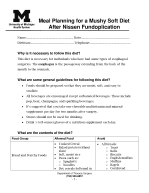 Mushy Soft Diet Plan After Nissen Fundoplication