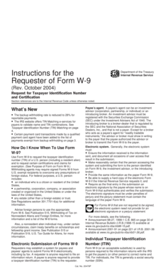 Form W-9 Instructions