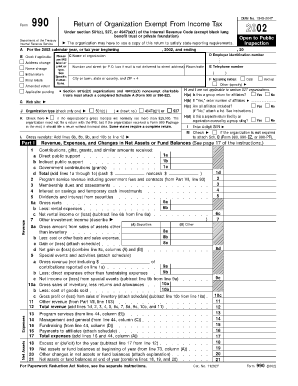 Form 990 Return of Organization Exempt From Income Tax