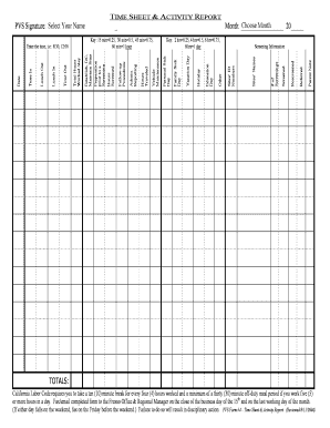 PVS Time Sheet & Activity Report