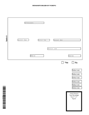Mississippi Nursing Licensure by Endorsement Application