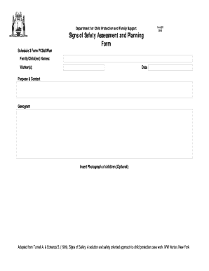 Signs of Safety Assessment Form