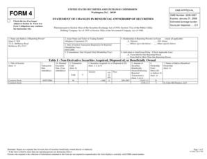 Form 4 Statement of Changes in Beneficial Ownership