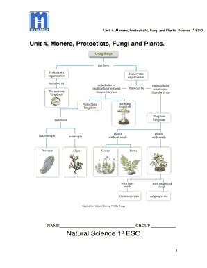 Vision numbers scale - Unit 4 Monera Protoctists Fungi and Plants -