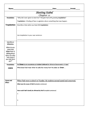 Shooting Kabul Chapter 12 Vocabulary Worksheet