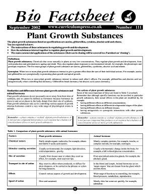 Form preview picture