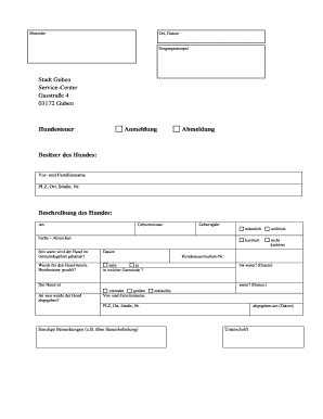 Form preview picture