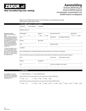 Form preview picture