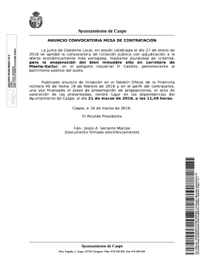 Ayuntamiento de Caspe Public Tender Announcement