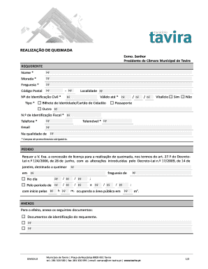 Realiza o de queimada - Munic pio de Tavira