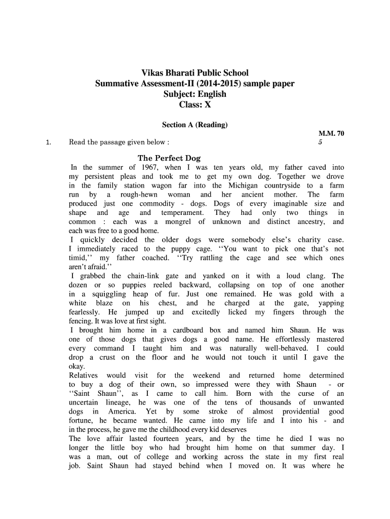 Fillable Online ENGLISH SAMPLE PAPER CLASS X.docx Fax Email Print