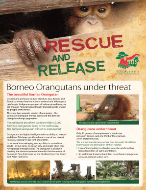 Orangutan brochure