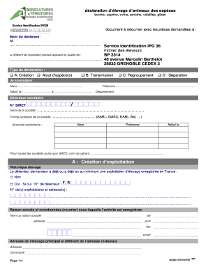 Form preview picture