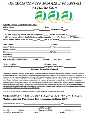 CYO Volleyball 2016 - Annunciation School - annunciation-school