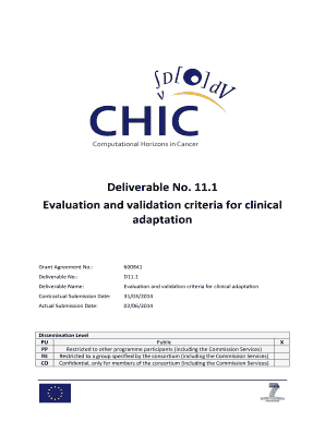 Deliverable No. 11.1 Evaluation and validation criteria for ... - CHIC - chic-vph