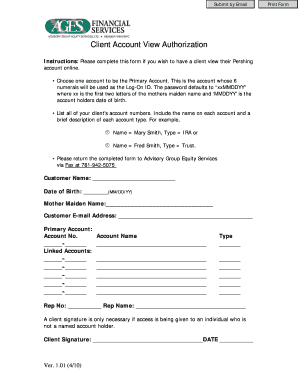 Client Account View Authorization Form