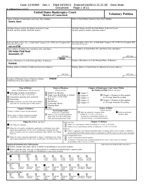 US Bankruptcy Voluntary Petition Form