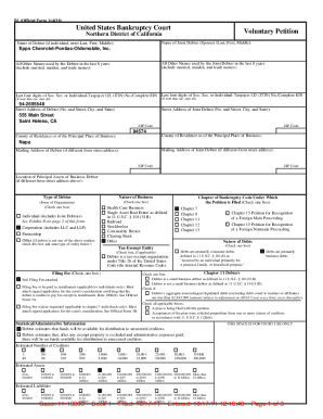 US Bankruptcy Court Voluntary Petition