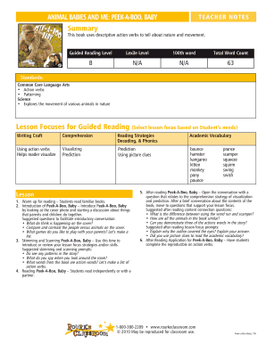 Peek-A-Boo Baby Teacher Notes