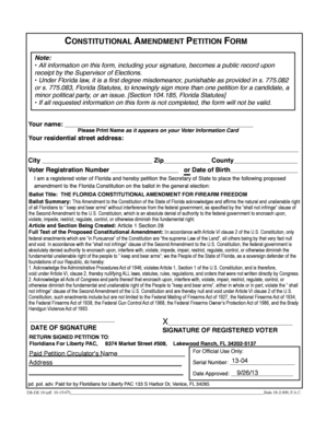 Florida Constitutional Amendment Petition Form