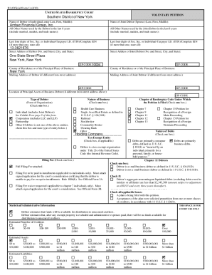 US Bankruptcy Voluntary Petition Form