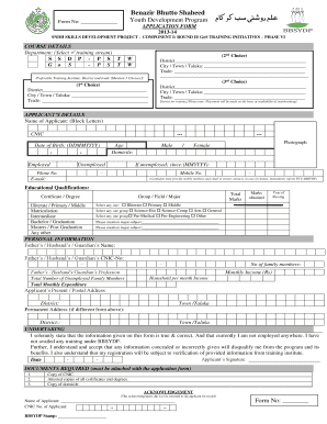 Benazir Bhutto Shaheed Youth Development Program Application Form