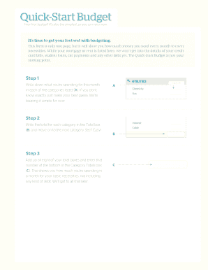 Quick-Start Budget Form