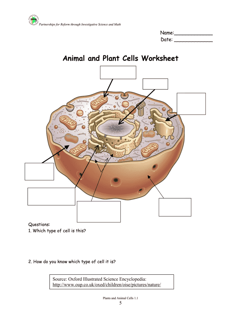 Plant Cell And Animal Cell Worksheet Answer Key Pdf - Fill Online,  Printable, Fillable, Blank | pdfFiller