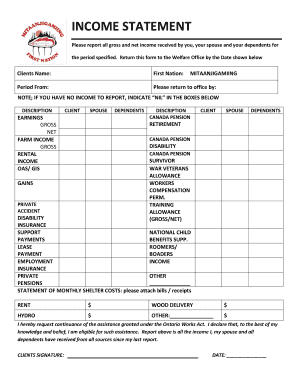 Income statement - the Mitaanjigamiing First Nation Website - mitaanjigamiing