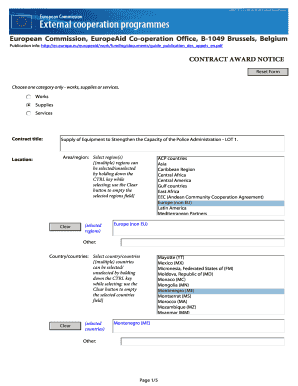 Form preview