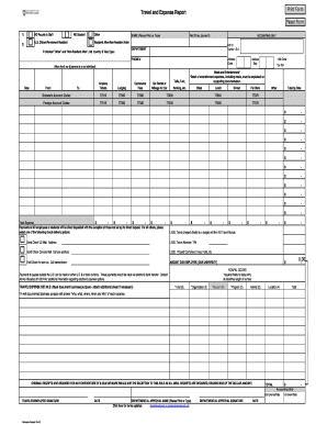 Travel and Expense Report Form