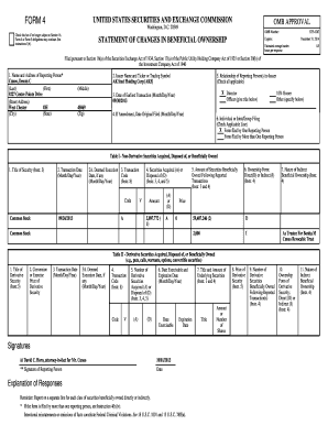 Form 4 Statement of Changes in Beneficial Ownership