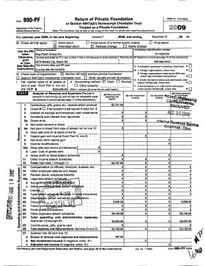 Form 990-PF 2009